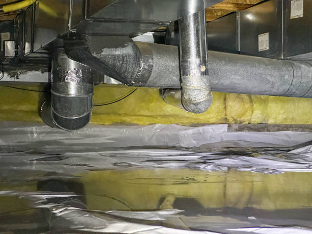 Best Sewage cleanup and water damage restoration  in Portland, TN